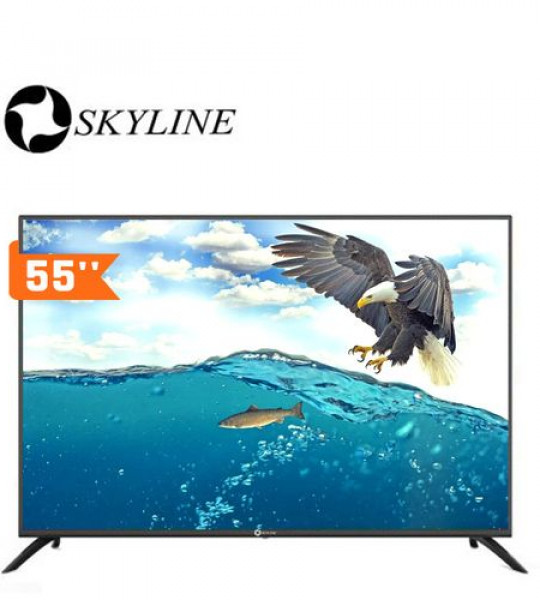 55" LED TV SKYLINE WIFI +DVBT2/S2/SUPPORT - SKT-55SM - Télévisions